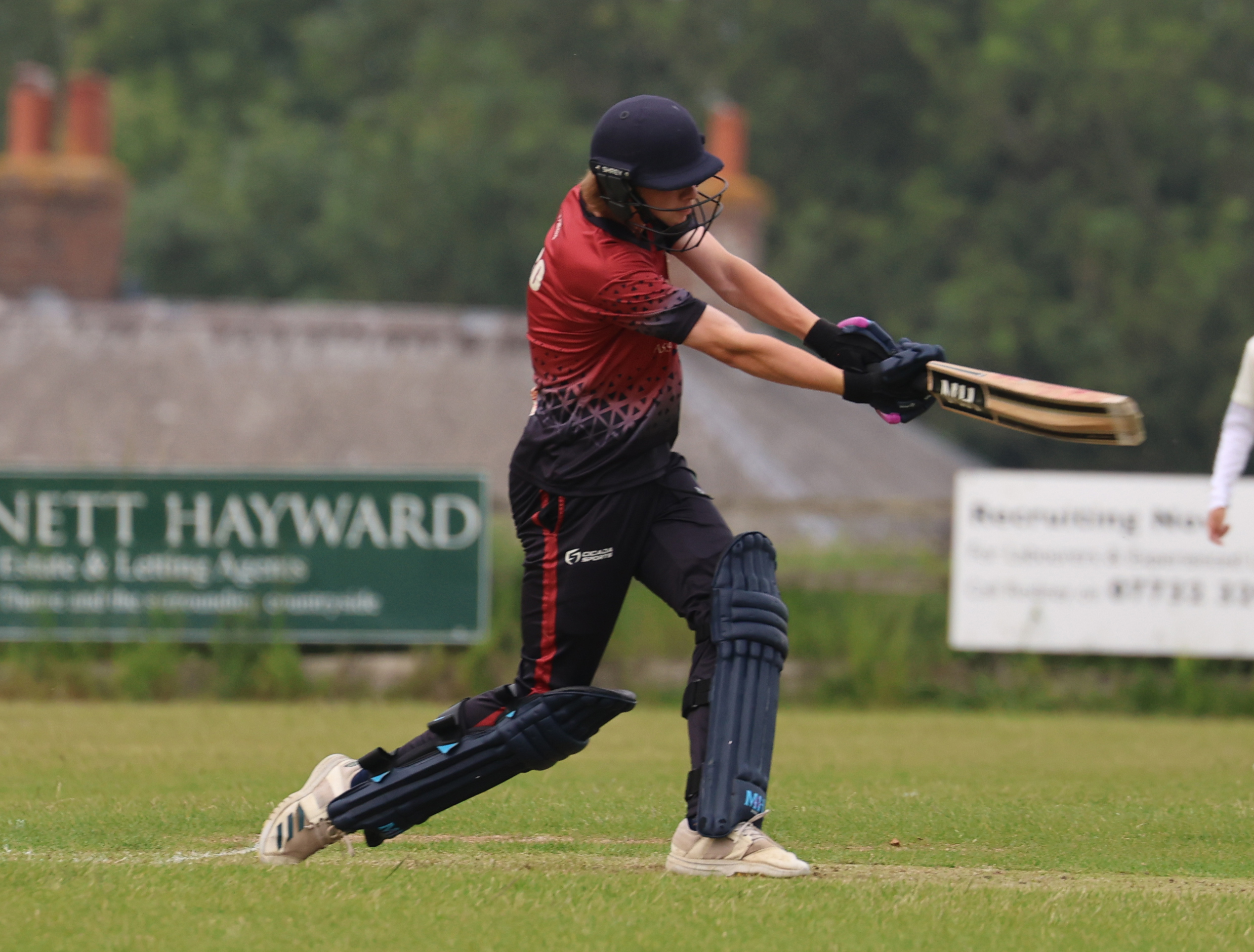 54776444729_47008c1c33_o